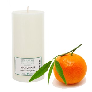 747_e.o candles 6x3_mandarin_300x300.jpg